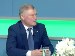 Вице-премьер Логвинов «потерял» 55 млн долларов в эфире воронежской «Губернии»