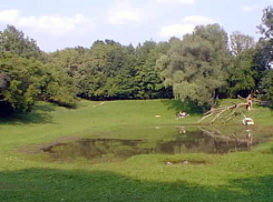 Воронежцы смогут обсудить развитие парка «Динамо»