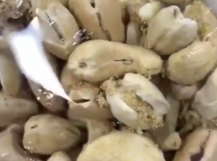 Орехи с тошнотворным бонусом продавали жителям воронежского села