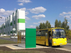 Опубликованы новые маршруты, обещанные воронежцам мэром Кстениным