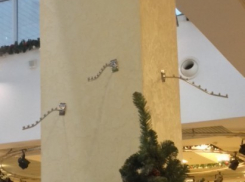 Из торгового центра «Галерея Чижова» после жалобы зоозащитников исчезли канарейки