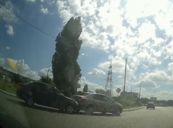 Нежный «чмок» прилетел автомобилисту в Воронеже