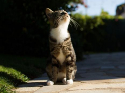 Стало известно, когда закончатся дожди в Воронеже