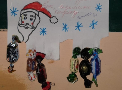 Доброта воронежского ребенка по-новогоднему поразила соседей 