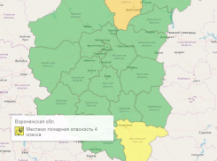 Воронежская область попала под жёлтый уровень опасности - единственная среди соседних регионов