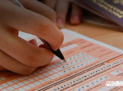 Из-за ЕГЭ воронежская прокуратура наехала на первого зампреда правительства