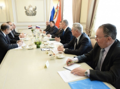 В Воронежской области  рассматривают перспективы сотрудничества с Ираком