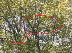 «Жахнуло капитально»: воронежцев перепугал взрыв у «Северного» универсама