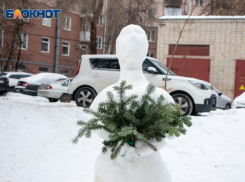 Гребень антициклона задаст погоду в Воронежской области 
