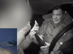 «Зубная фея»: веселый водитель блеснул вставной челюстью в полицейском авто под Воронежем 