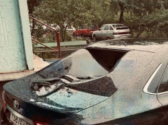 Выпавший из окна кот проломил машину в Воронеже – опубликовано фото