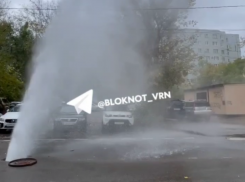 Мощный фонтан внезапно забил в Воронеже 