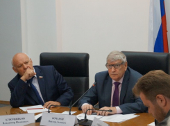 Виктор Бочаров ответил на нападки «антиникелевых» активистов по поводу мышьяка в Воронежской области