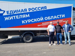 «Страна у нас одна», - воронежский депутат Госдумы о событиях в Курской области