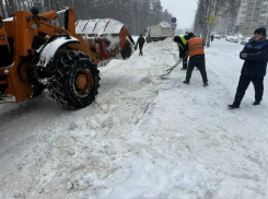 Мэрия Воронежа намекнула на скорое завершение снежного апокалипсиса 