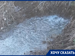 Тихое убийство реки Дон сняли на видео под Воронежем