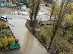 Фото семилукского позора поделились воронежцы и вспомнили о туристическом налоге