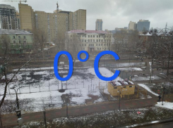 Когда в Воронеже потеплеет до нуля градусов, рассказал главный метеоролог региона 