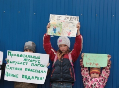 Воронежские активисты: Митинг против вырубки деревьев в парке Оптимист отменяется