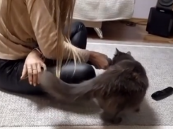 Чемпионка России по бодибилдингу спела дуэтом с кошкой в Воронеже 