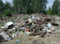 В Воронежской области обнаружили несанкционированные свалки