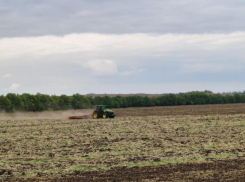 Как на фоне санкций проходит посевная в Воронежской области, рассказал губернатор Гусев