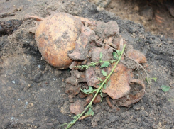 В Воронеже во дворе частного дома обнаружили человеческие останки (ФОТО)