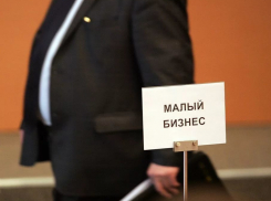 Воронежские власти планируют ликвидировать  Фонд поддержки малого бизнеса