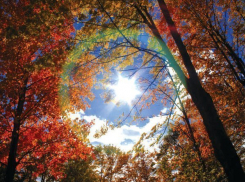 На выходных в Воронеж придет бабье лето