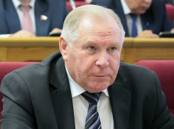 Депутат Воронежской областной Думы попал под процедуру банкротства