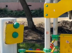 Вместо карусели – железный штырь: опасная детская площадка возмутила воронежских общественников