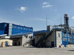 Жители Воронежа жалуются на зловоние завода «Воронежские дрожжи»