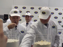 Поедание Гордеевым молочного белка попало на видео в Воронежской области