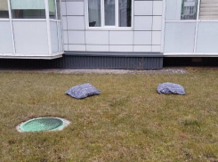 Следы ночевки на газоне заметили в Воронеже