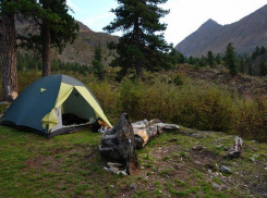В Воронеже ссора краснодарцев, живущих в палатках, закончилась убийством 