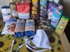 Воронежцы показали, что власть дает малоимущим пенсионерам на самоизоляции