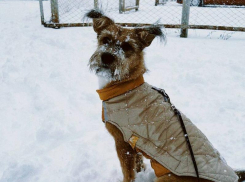 Какой погоды ждать в последний праздничный день в Воронеже
