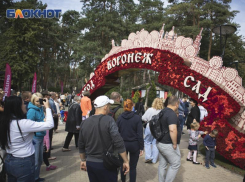  Вопрос о проведении не решен: судьбу фестиваля «Город-Сад» прокомментировало воронежское правительство