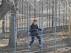 Эпатажный танец девушки в центре Воронежа попал на видео 