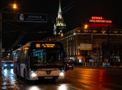 Воронежский водитель выгнал из автобуса в ночь несовершеннолетнего инвалида 1-й группы 