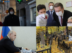 Коронавирус в Воронеже 21 января: +785 зараженных, поручение Мишустина, оценка Мурашко и споры о кладбище