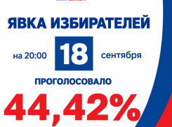 Беспрецедентная явка зафиксирована в первый день ЕДГ-2026 в Воронежской области