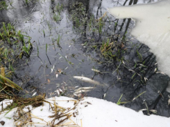 Ущерб от отравления Усманки оценили в колоссальную сумму