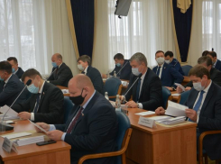 Больше 200 тыс бюджетных рублей потратят на почетные грамоты для Воронежской городской Думы