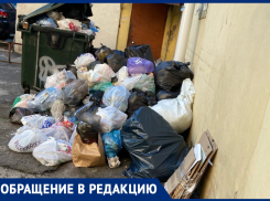 В Воронеже двор рядом с правительством задушила «жидкая» вонь