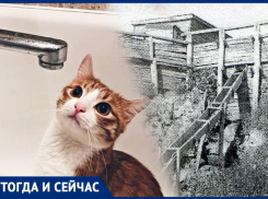 Главный ресурс, который больше 150 лет назад получили воронежцы, теряется почти ежедневно