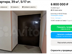 Ситуация «Лариса Долина» дошла до воронежского рынка недвижимости 