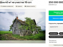 Дом, как из сказки, продают за космические деньги в Воронежской области