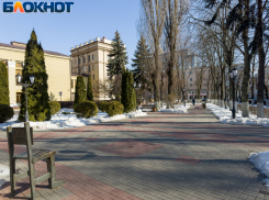 Еще 2 млн рублей потратят на благоустройство одного из лучших скверов в центре Воронежа