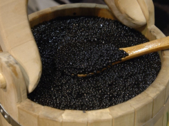 В Воронеже начнут производить до 3 тонн черной икры в год